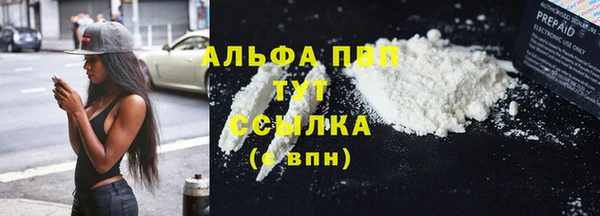 МДПВ Рославль