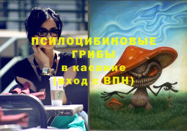 МДПВ Рославль