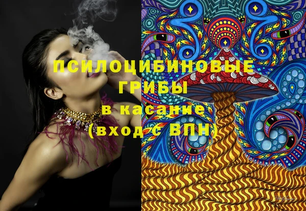 МДПВ Рославль