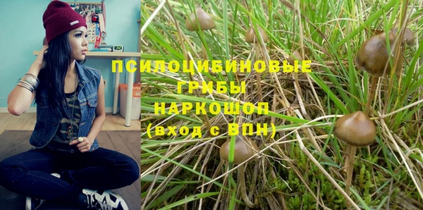 ешки Россошь