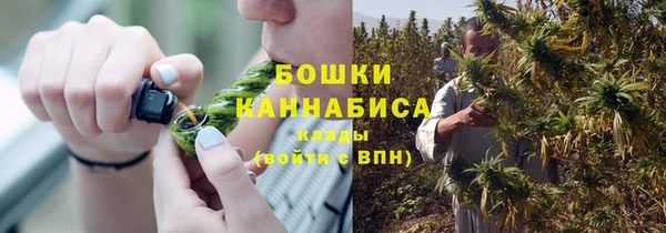 МДПВ Рославль