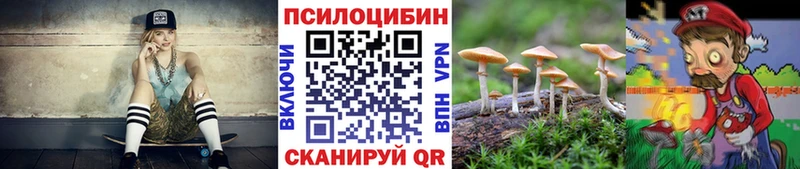 ссылка на мегу tor купить Старица мориарти наркотические препараты Галлюциногенные грибы мухоморы